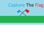 Capture the flag goup!