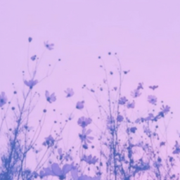 𝐮