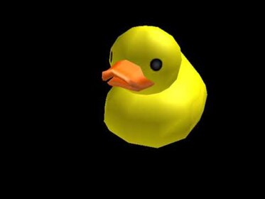 Duck place