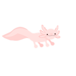 Wolfie & The Friends