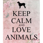 Amazing Animal Fan Club