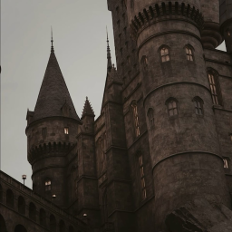⚡︎