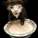 R4di4nce