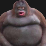 L0cal gr0up