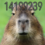 Mog Capybaras