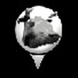 dont play icon