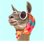 Llama Thread