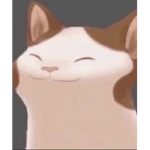 Cat squad Tabby cats are the best