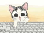 Kitten Cat Club
