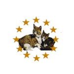 Drippy cats!1!1!1