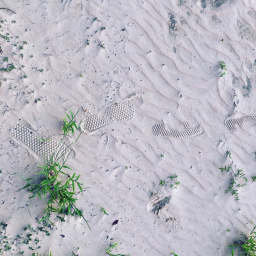 Napalm Beach