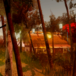 {Island Solitary} - Showcase
