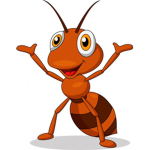 ANT UNITED