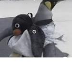 Penguin club spot