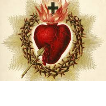 Sacred Heart of Iesus Cathedral [SHJC]