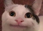 ZA BOISSSSSSS