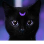 CATS!CATS!CATS!!!