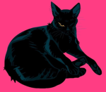 Cat_Party