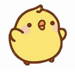 Kawii Ducks