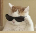 !Ropa!