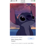 Stitch love fam