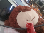 - bear- -army-