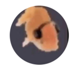 Fish wearing headphones