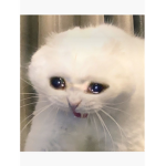 procat15 fangroup