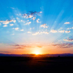 SunnyDawn