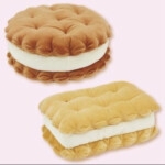 ◝ ⑅ 根！お兄ちゃん！˚ ｡ ༘ 