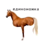 ジェヒョン