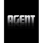 Agency Team