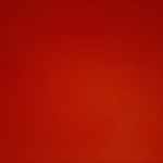 SCHOLL STUDIO