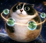 Котость