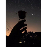 Lunar Eclipse Group