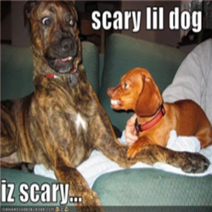 Little SCARY DOG! !PLZ FAVE! THEN TAKE! Roblox decal
