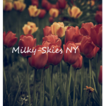 Milky-Skies NY