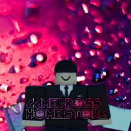 CamelBoss HomeStore (under dev)