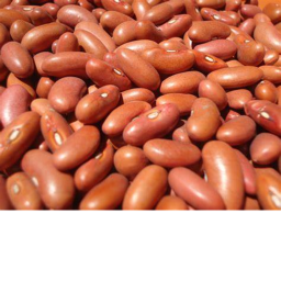 Bean training :D