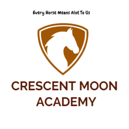 Crescent moon academy