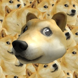 [WIP] Doge Obby