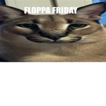 floppa VR