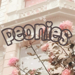 ʚ ｐｅｏｎｉｅｓ ɞ