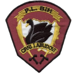 Crni labudovi [Black Swans]