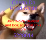 !NoVa Studios!