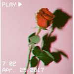 | • Red Flowers • |