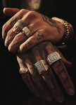 The Loyalty