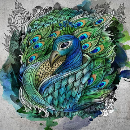 Peacock Art Roblox decal