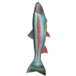 Aqua Aquaruim