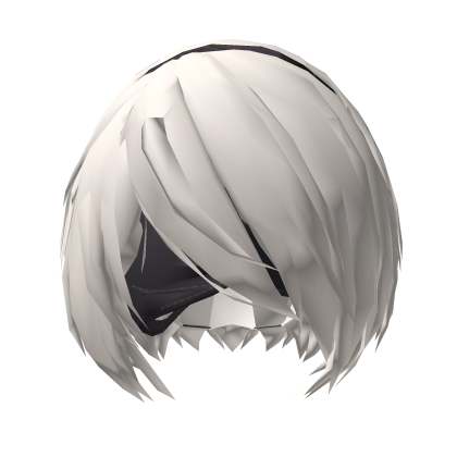 2b Hair Roblox item